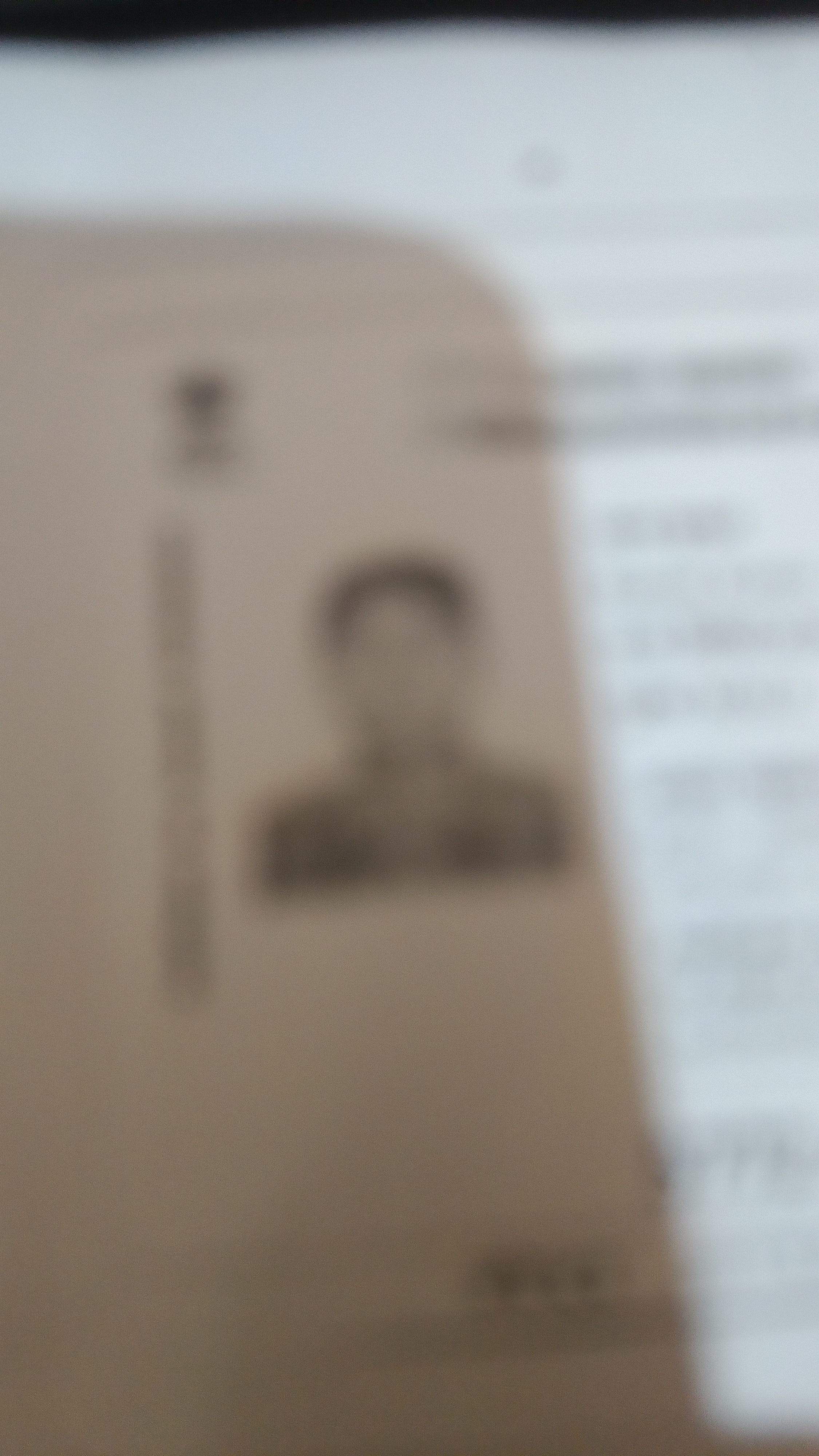 Player Image