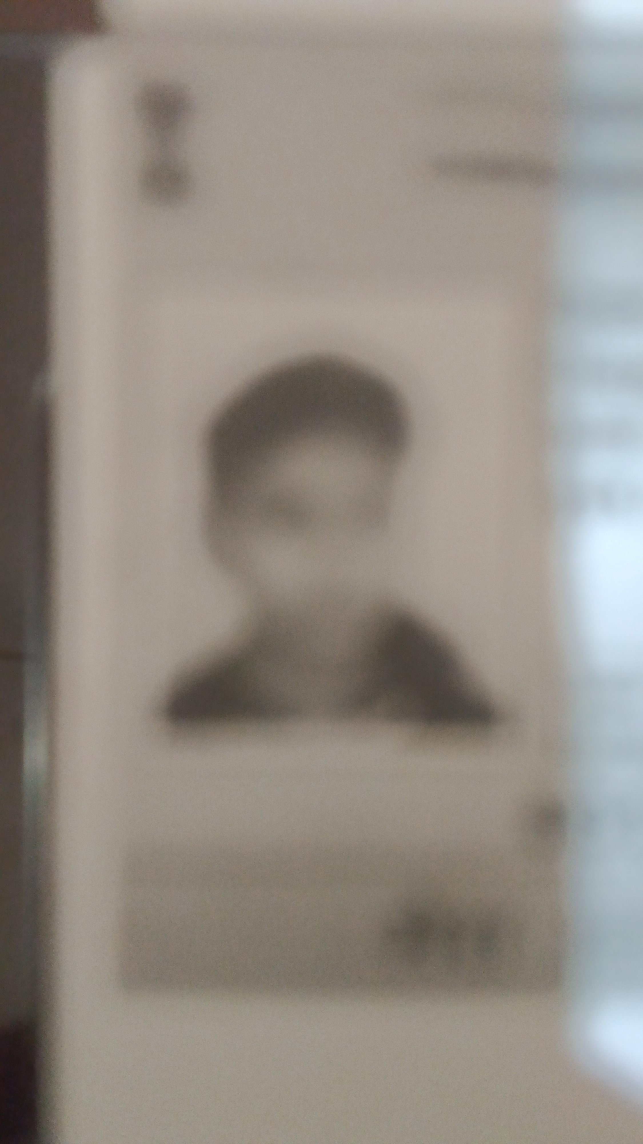 Player Image